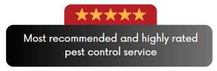 REVIEW GRAPHIC