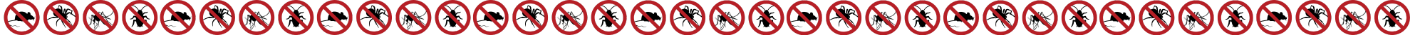 bug border 1